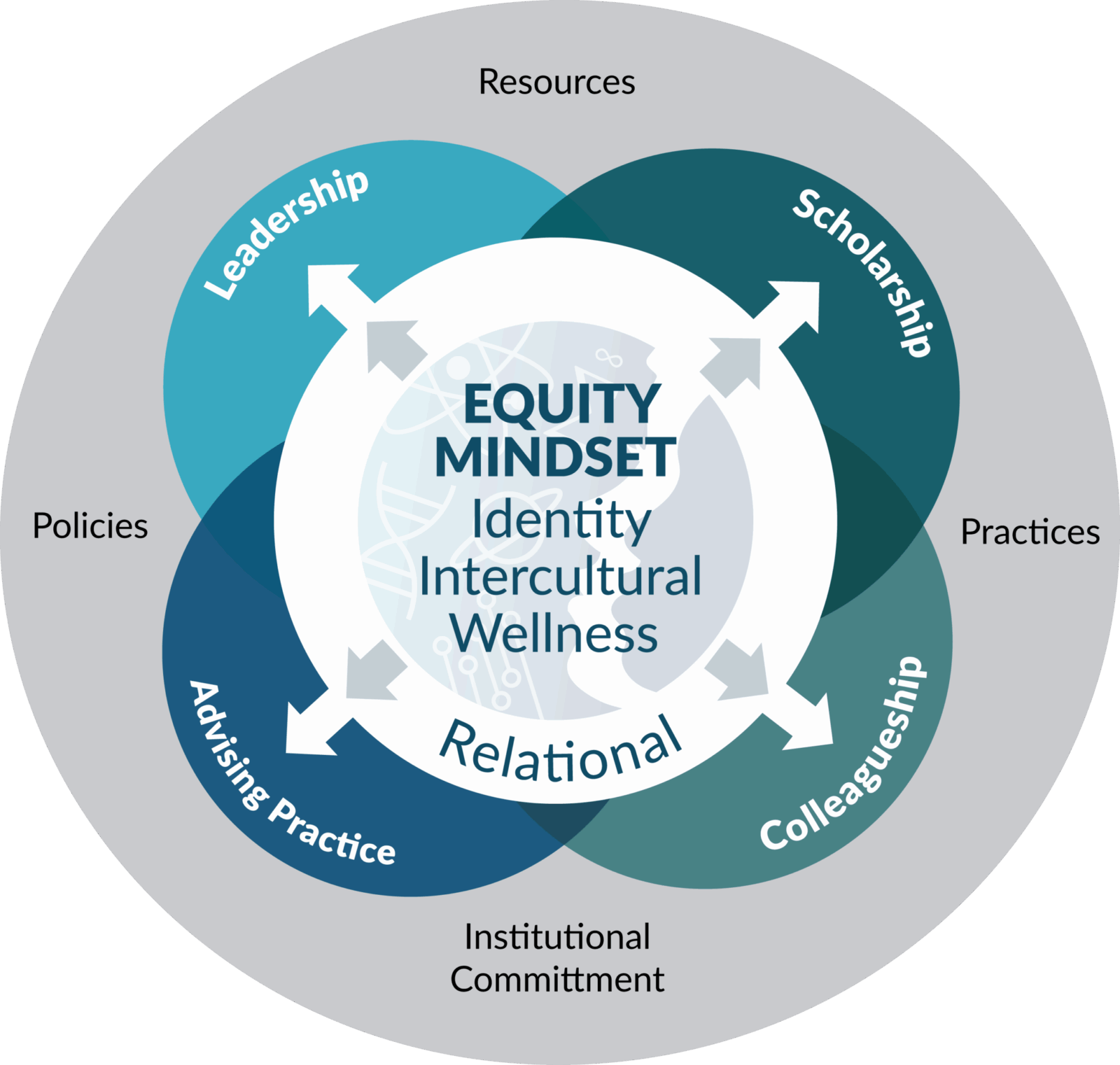 4 overlapping circles with "Equity Mindset: Identity, Intercultural, Wellness" at the center. Relational surrounds the center. Leadership, Scholarship, Collegeueship, and Advising Practice are outside of that. Resources, Practices, Institutional Commitment, and Policies are in a circle that contains everything else.